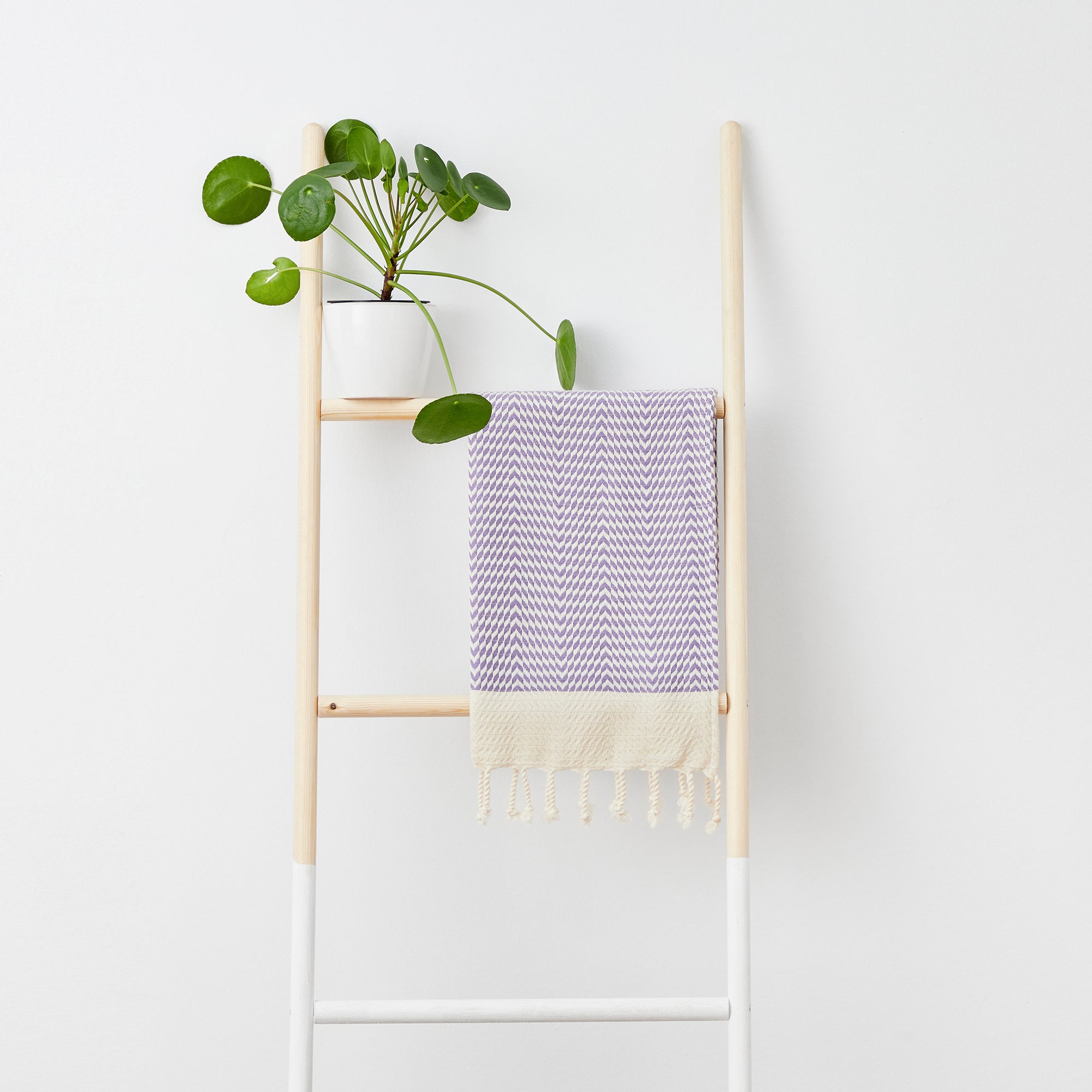 Ladder with a woven towel and plant against a white background