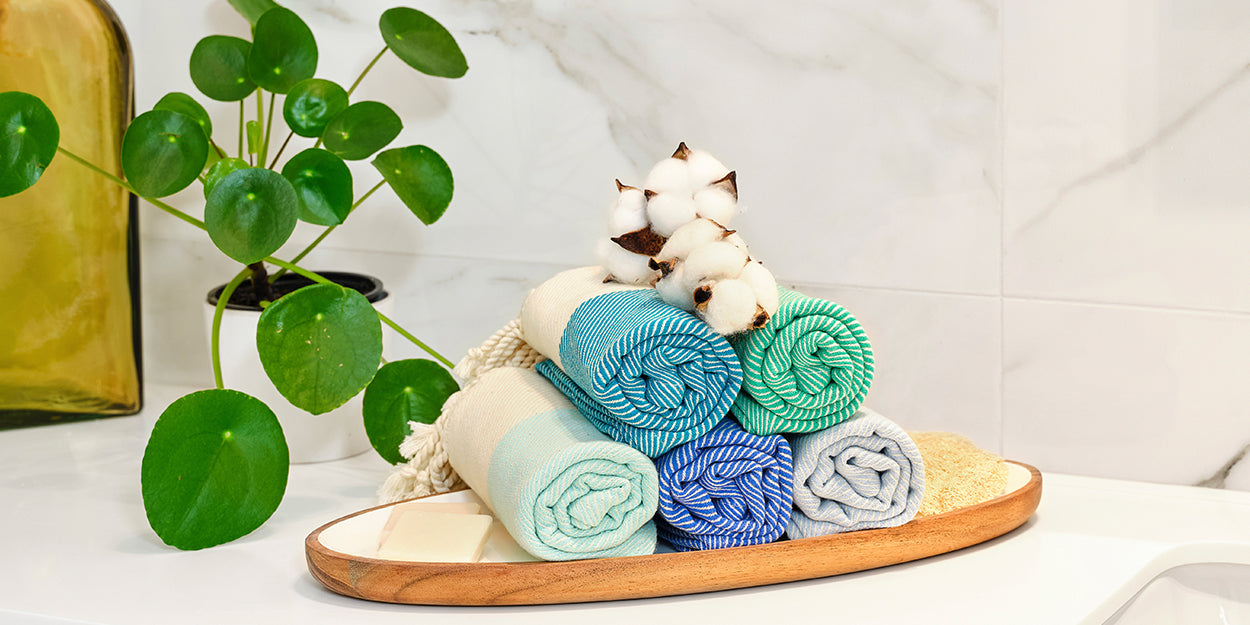 Two small dogs sitting on a stack of colorful towels with a potted plant in the background.